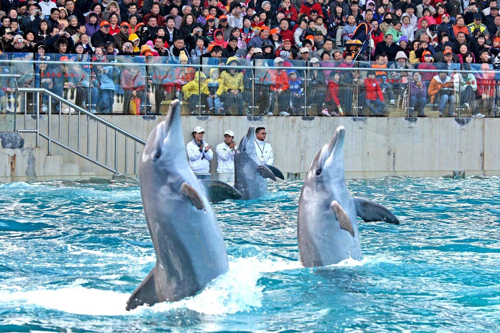  p>深圳海洋世界是一个位于广东省深圳市东部 a target="_blank" href