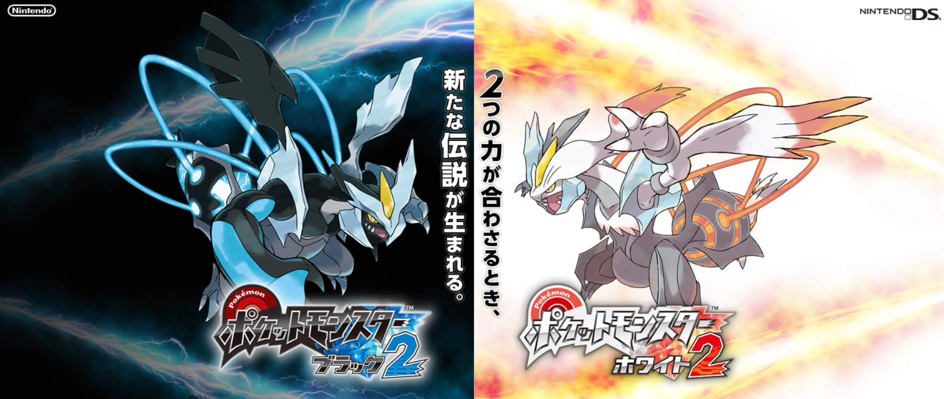  p>《宝可梦黑2·白2》是 a target="_blank" href="/item/game freak