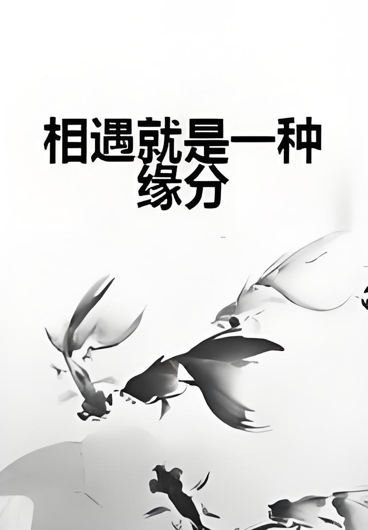 相遇就是一种缘分