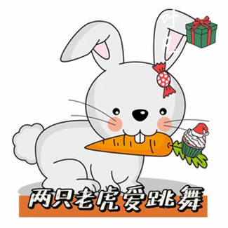 两只老虎爱跳舞
