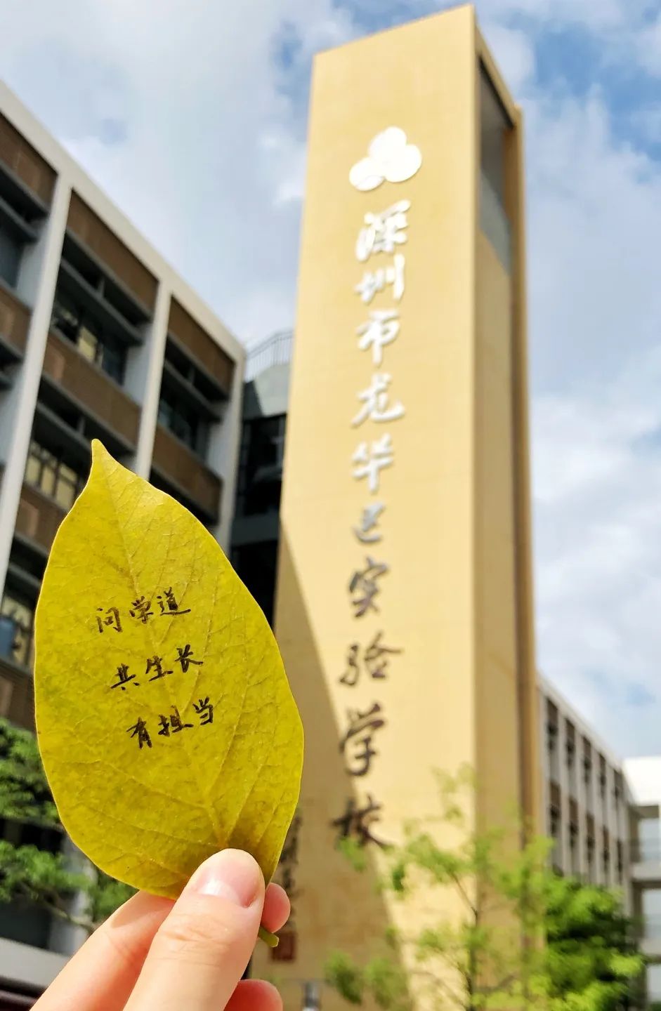 深圳市龙华区实验学校