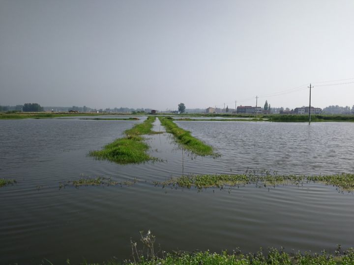  p>浩口镇,隶属于湖北省潜江市,地处 a target="_blank" href="/item