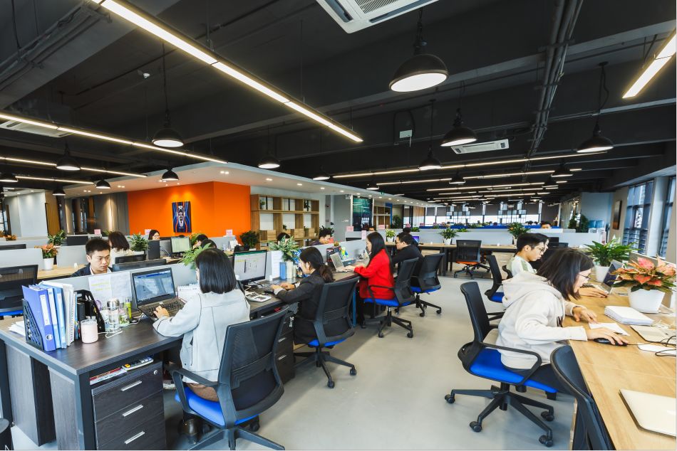 广东母创科技有限公司