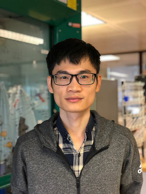 杨扬（江苏师范大学化学与材料科学学院教师）_百度百科