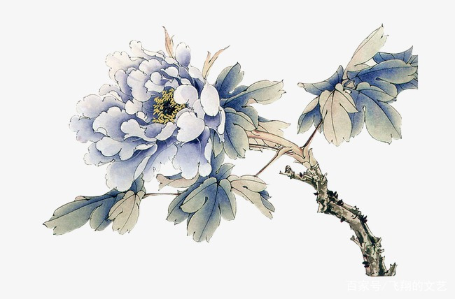 R　中国　安南　染付　花卉文　小壷　C　5934 C14，国画作品欣赏：牡丹花，共七幅_百科TA说