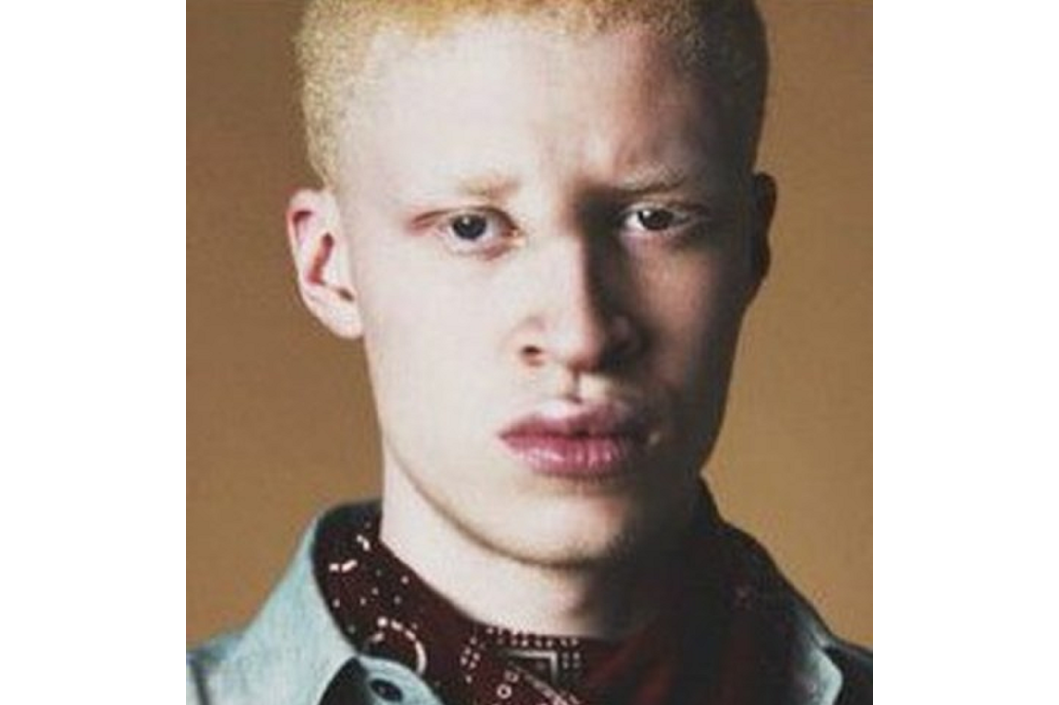 shaun ross
