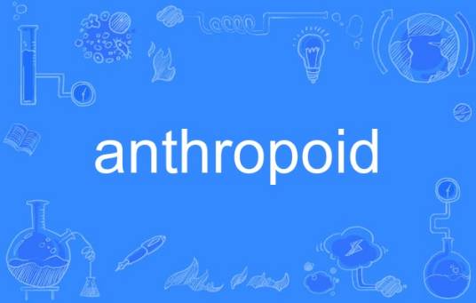 anthropoid_百度百科