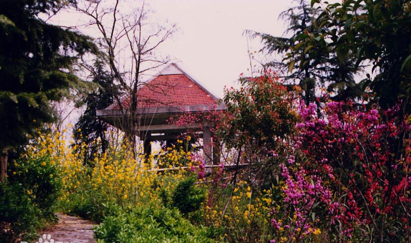 桃花山自然风景区