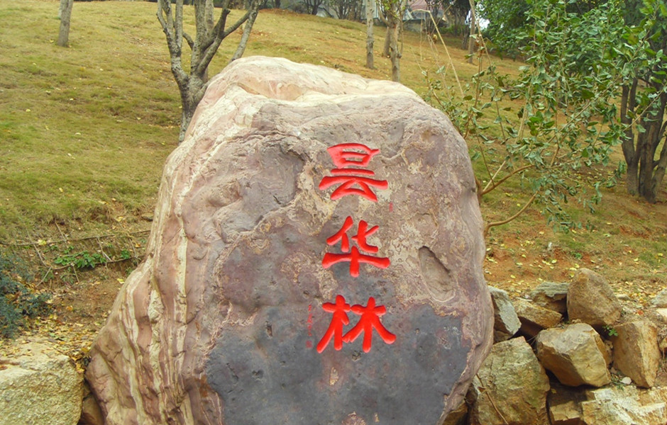 昙华林