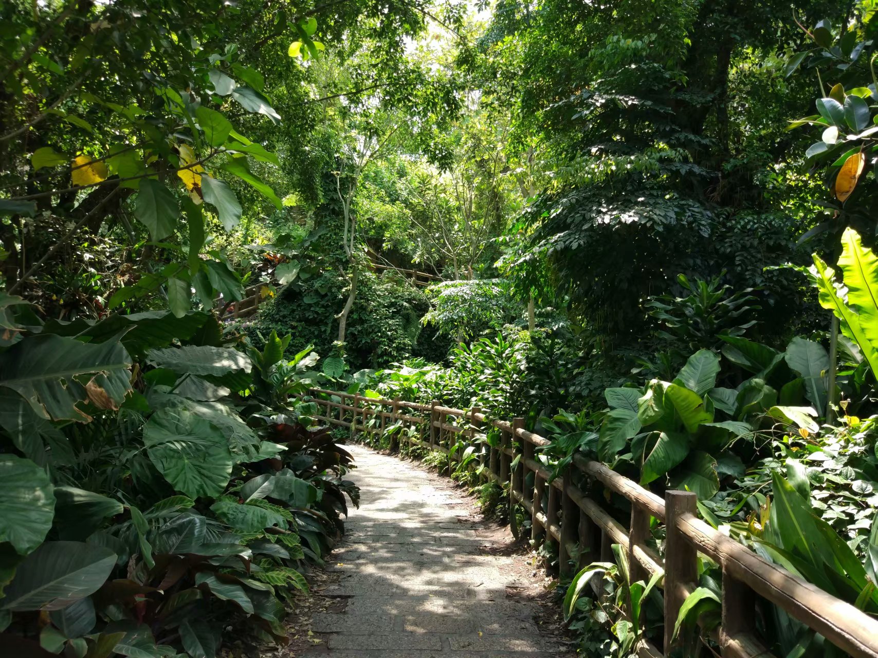  p>厦门园林植物园,俗称"万石植物园",位于福建省 a target="_blank"