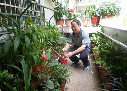 花匠 职业名称 百度百科