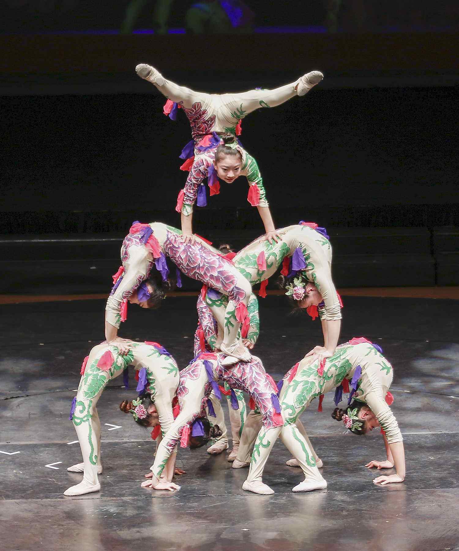 属于众多杂技项目中的一种,与其他杂技演出不同的是,柔术是通过演员