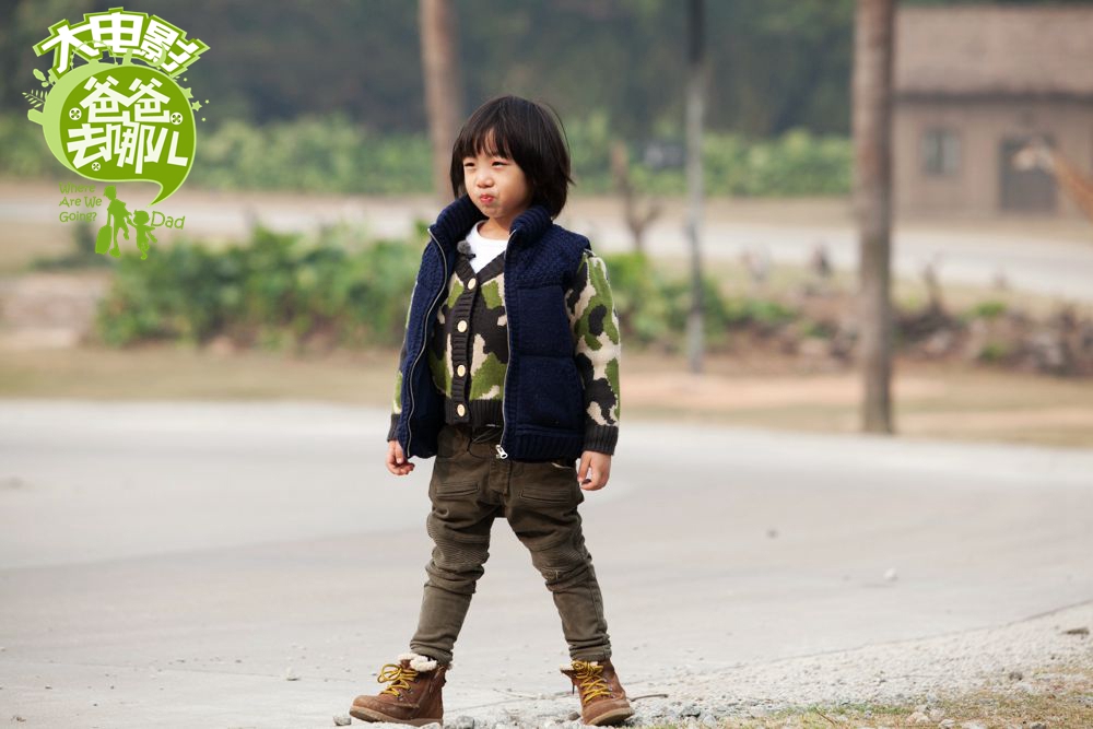 dad)由真人秀节目《爸爸去哪儿》原班人马奉献的同名电影于2014年1月