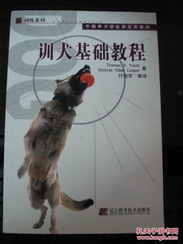 训犬基础教程