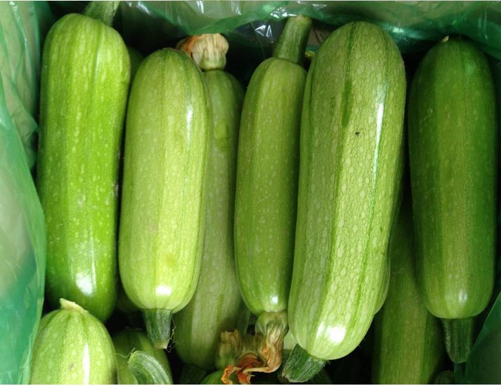 生瓜菜