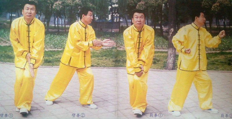  a target="_blank" href="/item/戴氏心意拳/5321957" data-lemmaid=