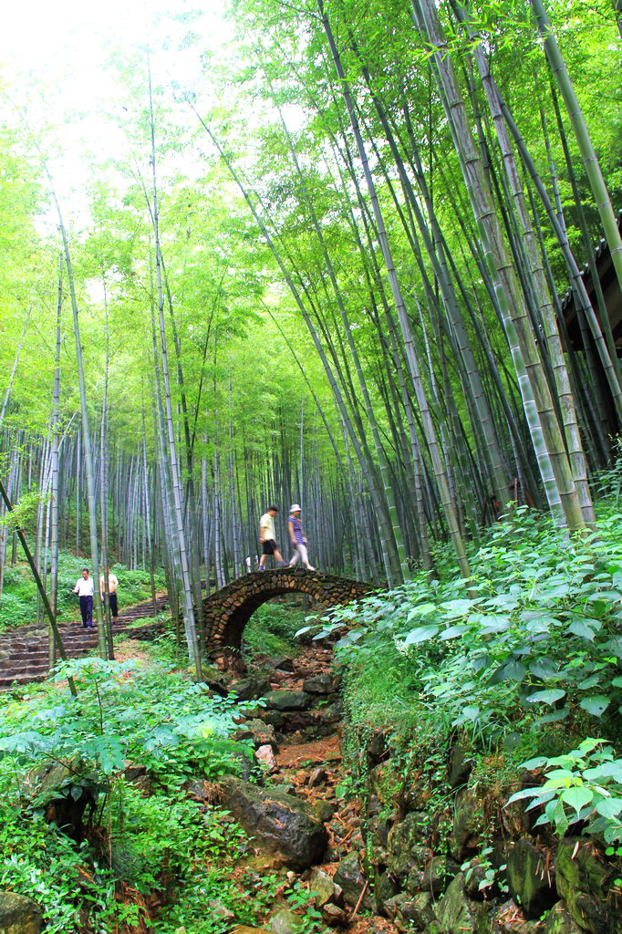无锡竹海位于苏,浙,皖三省交界处的"中国著名陶都,太湖风景区的旅游