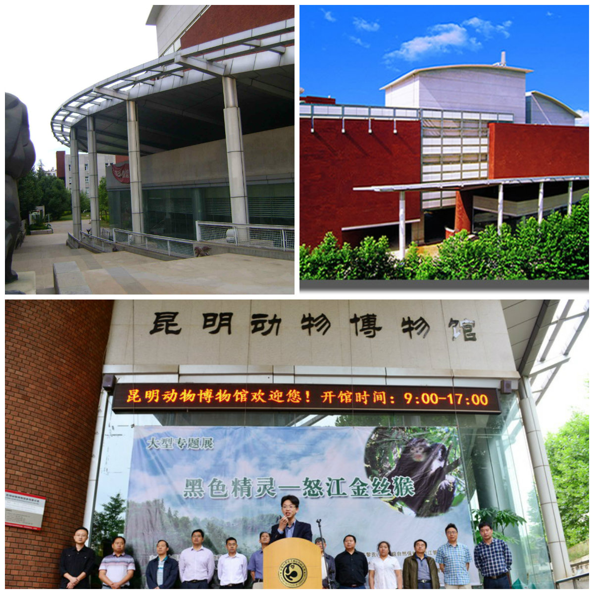 中国科学院昆明动物研究所昆明动物博物馆