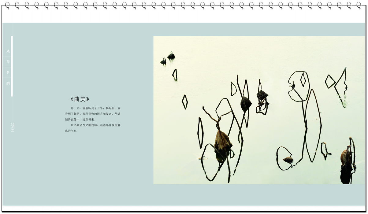  p>《残荷冬韵》是2013年中国文化出版社出版的图书,作者是徐保卫.