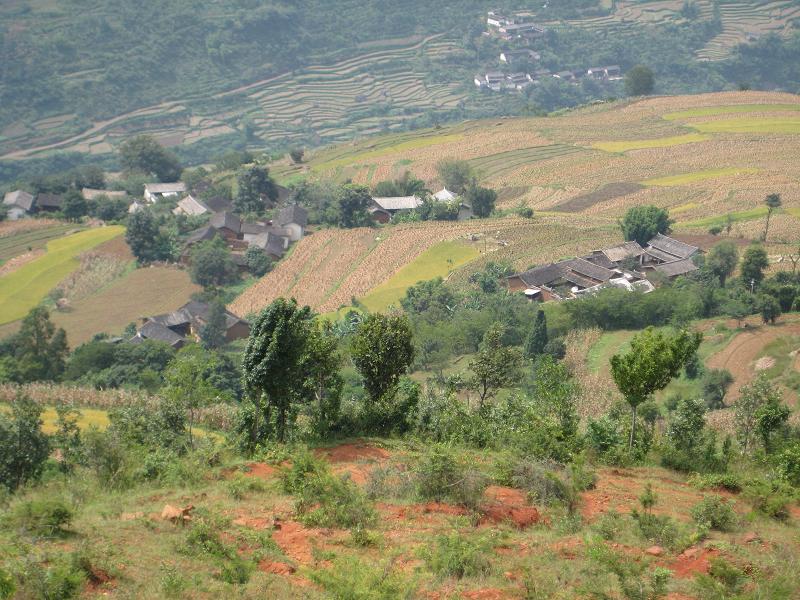 岔地坝村