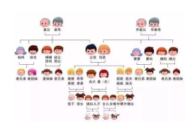 亲属关系图_百度百科