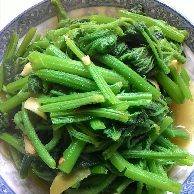 清炒南瓜叶