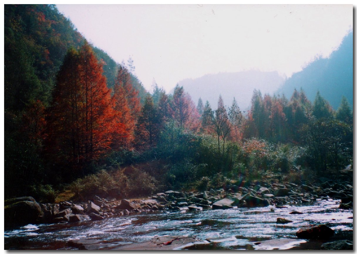  p>石柱黄水森林公园位于 a target="_blank" href="/item/重庆/23586