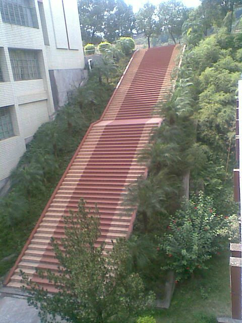 福建漳平二中