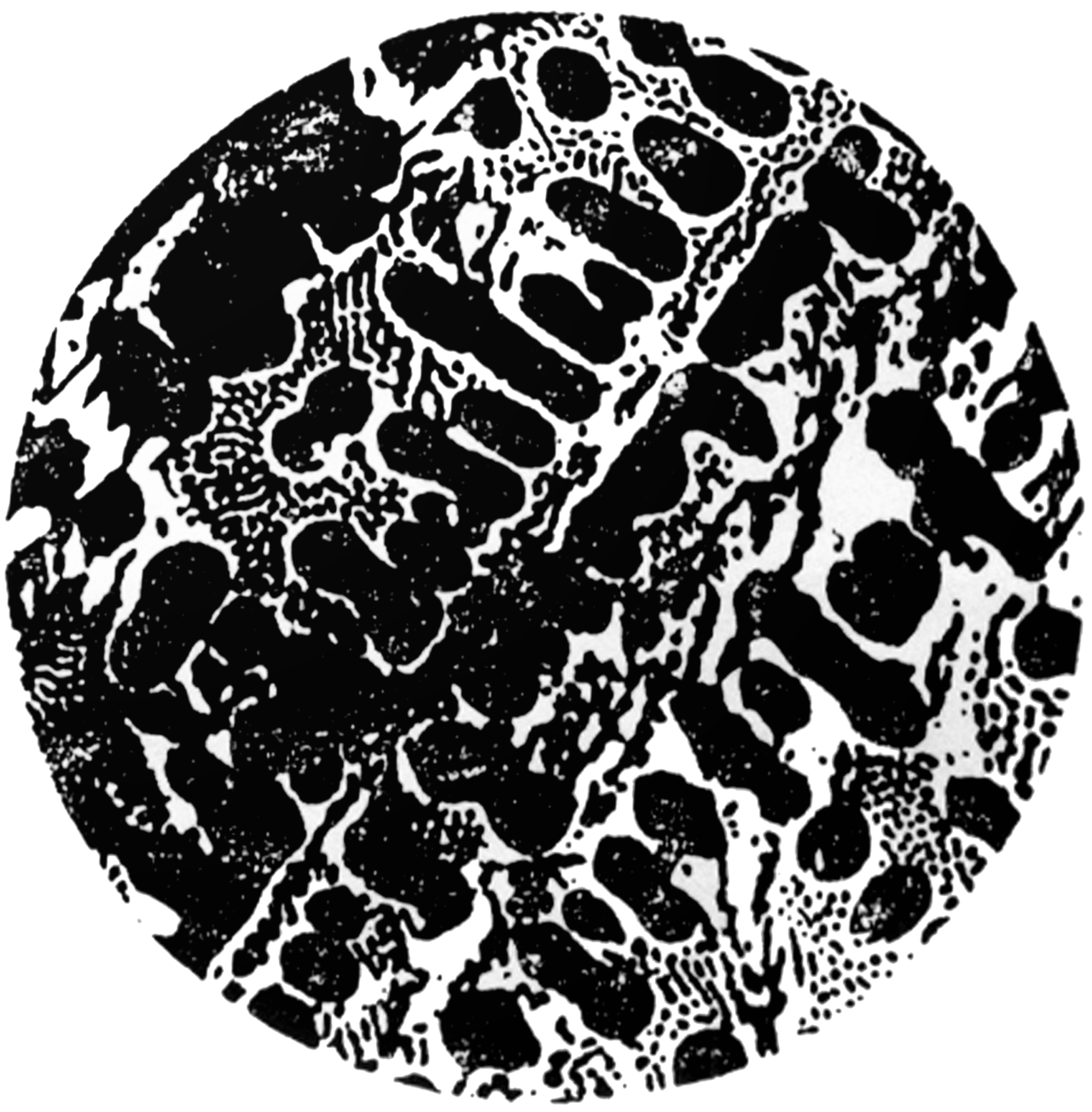  p>共晶渗碳体属于一次 a target="_blank" href="/item/渗碳体