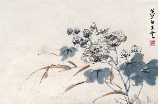 王云（清代画家）_百度百科