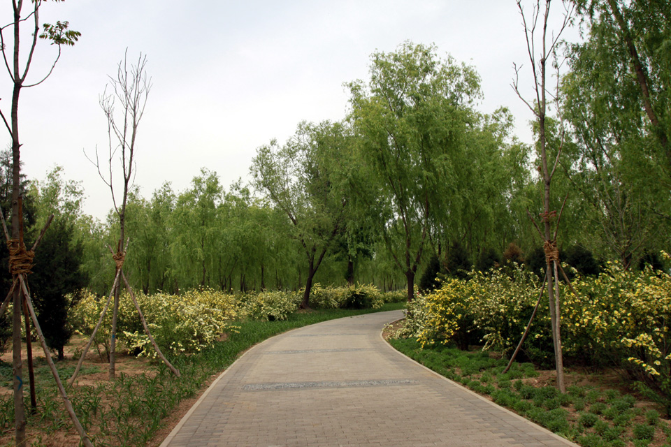  p>太平郊野公园,占地1085亩,位于规划中轴路延长线以东,兰太路南侧, 