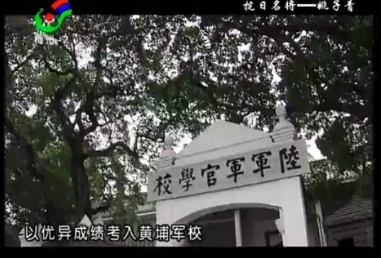  p data-id="gnt4tlhvl9"> b>姚子青 /b>