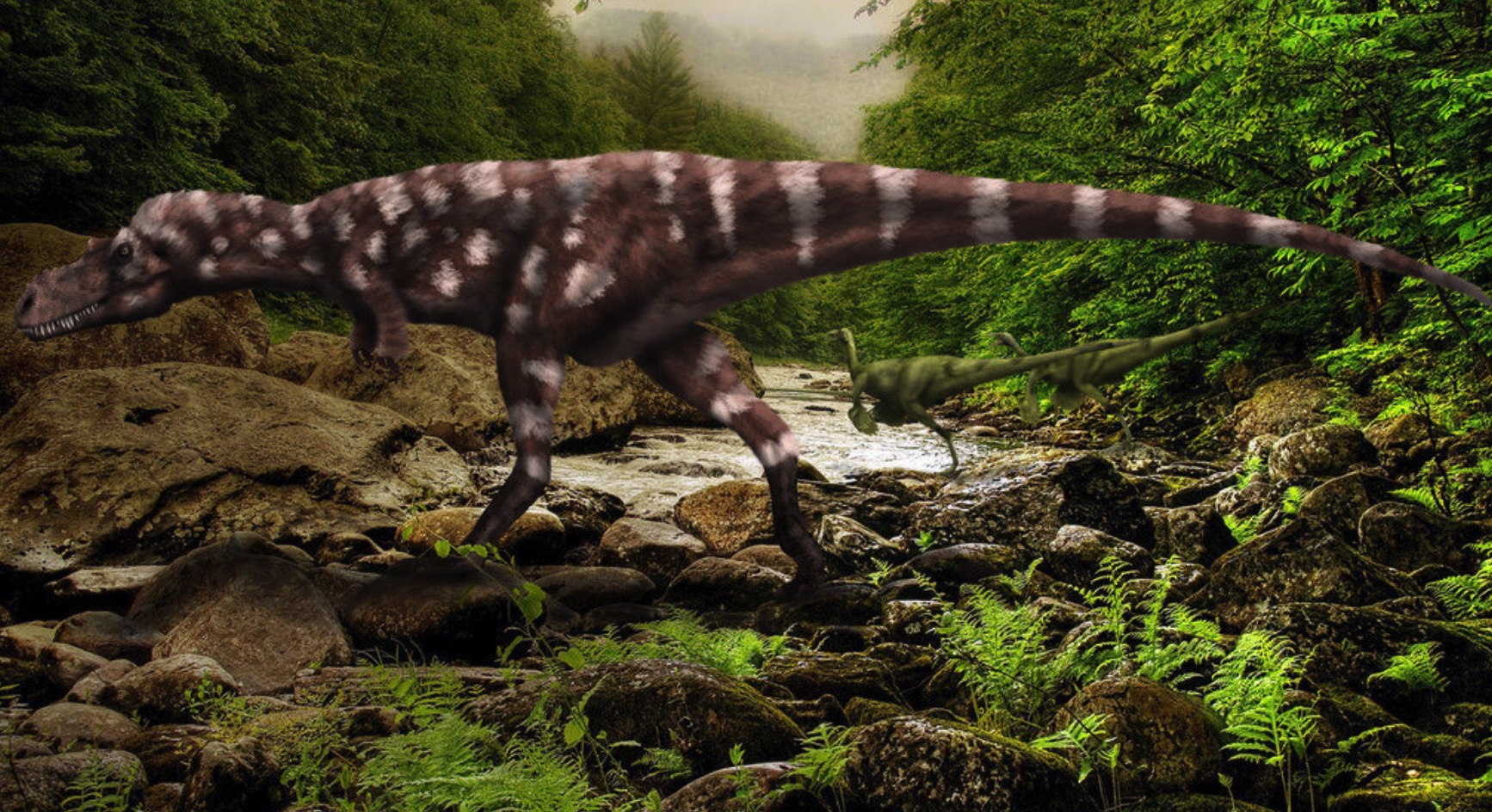  p>阿巴拉契亚龙(学名appalachiosaurus)是北美洲上白垩纪 a href="#"