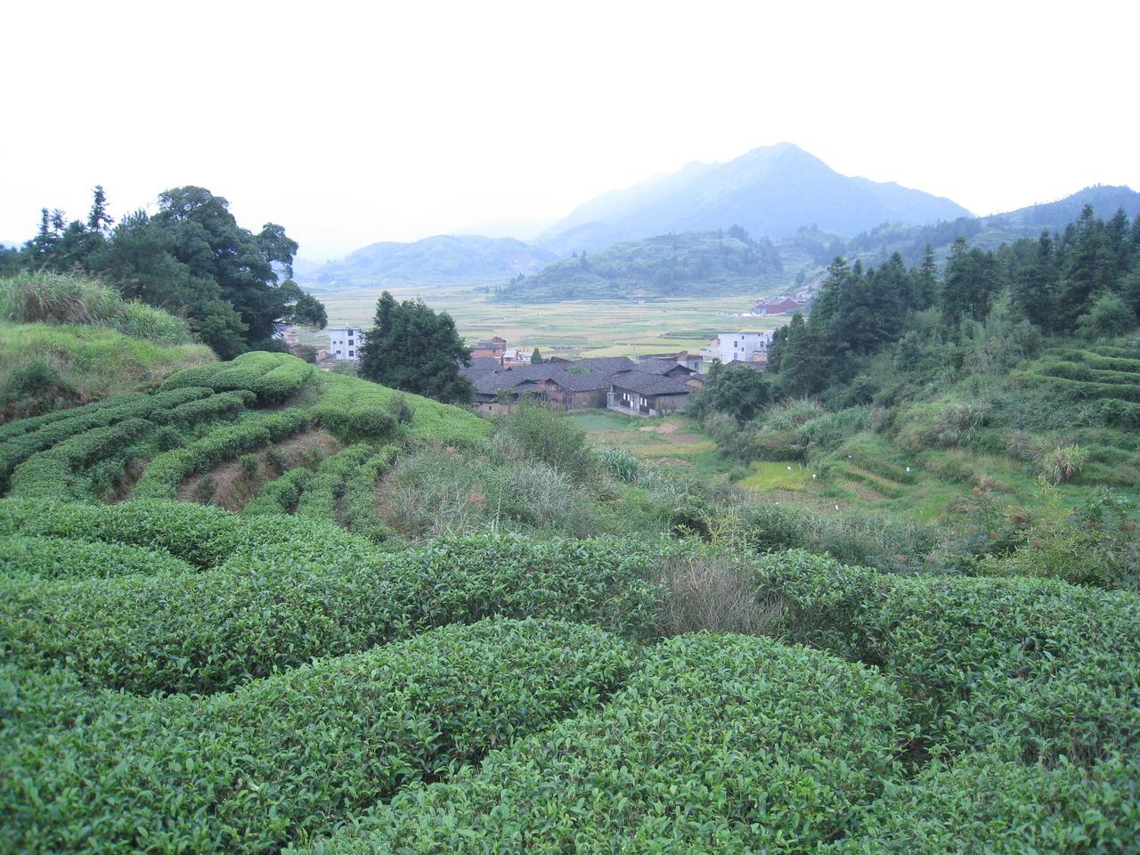 ="#">东阳市 /a> a href="#" data-lemmaid="8952755">吴宁镇 /a>境内