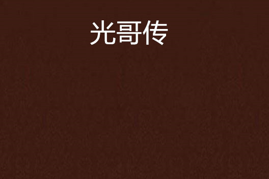 光哥传