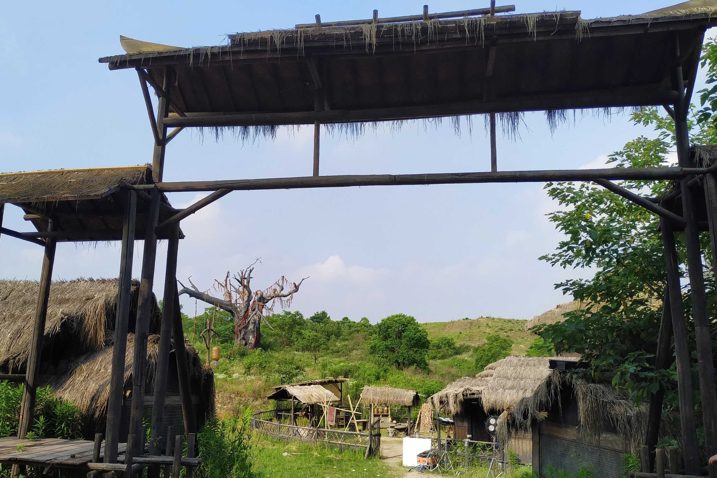 红树林影视基地