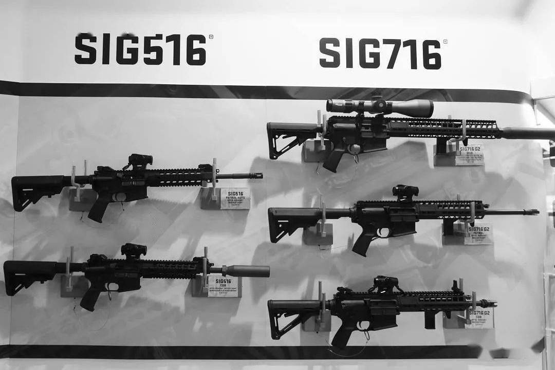sigsg550/551突击步枪