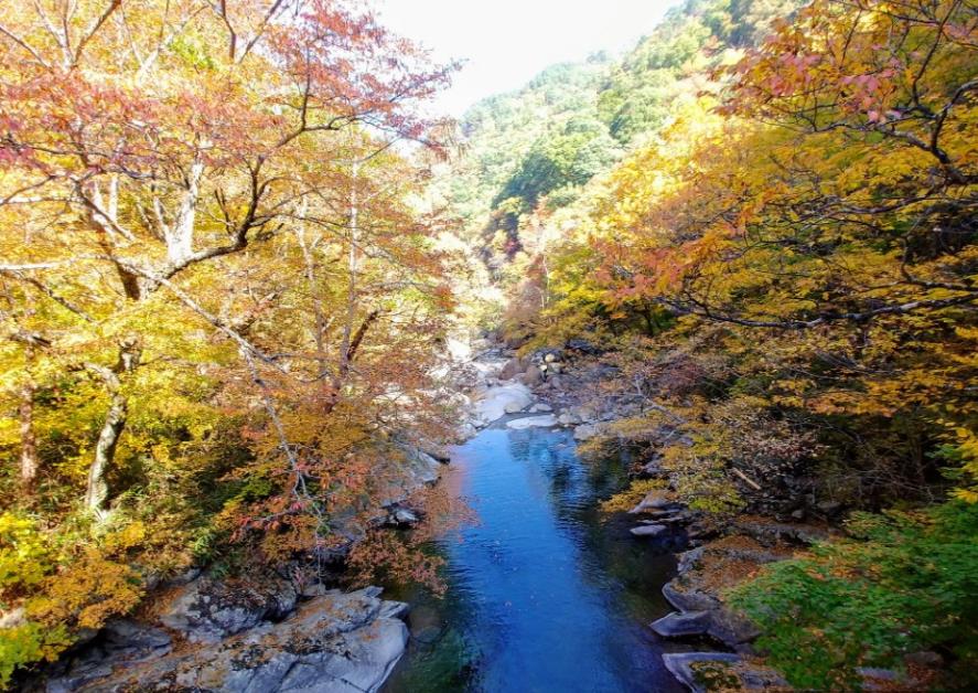 韩国智异山国立公园