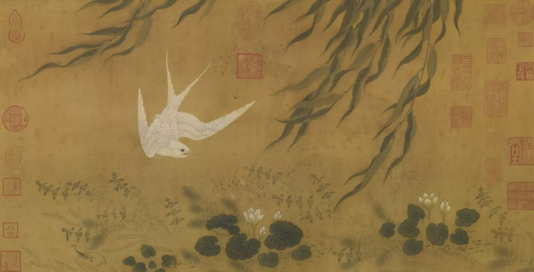燕子，被中国人偏爱的生灵_百科TA说