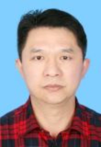 陈伟平