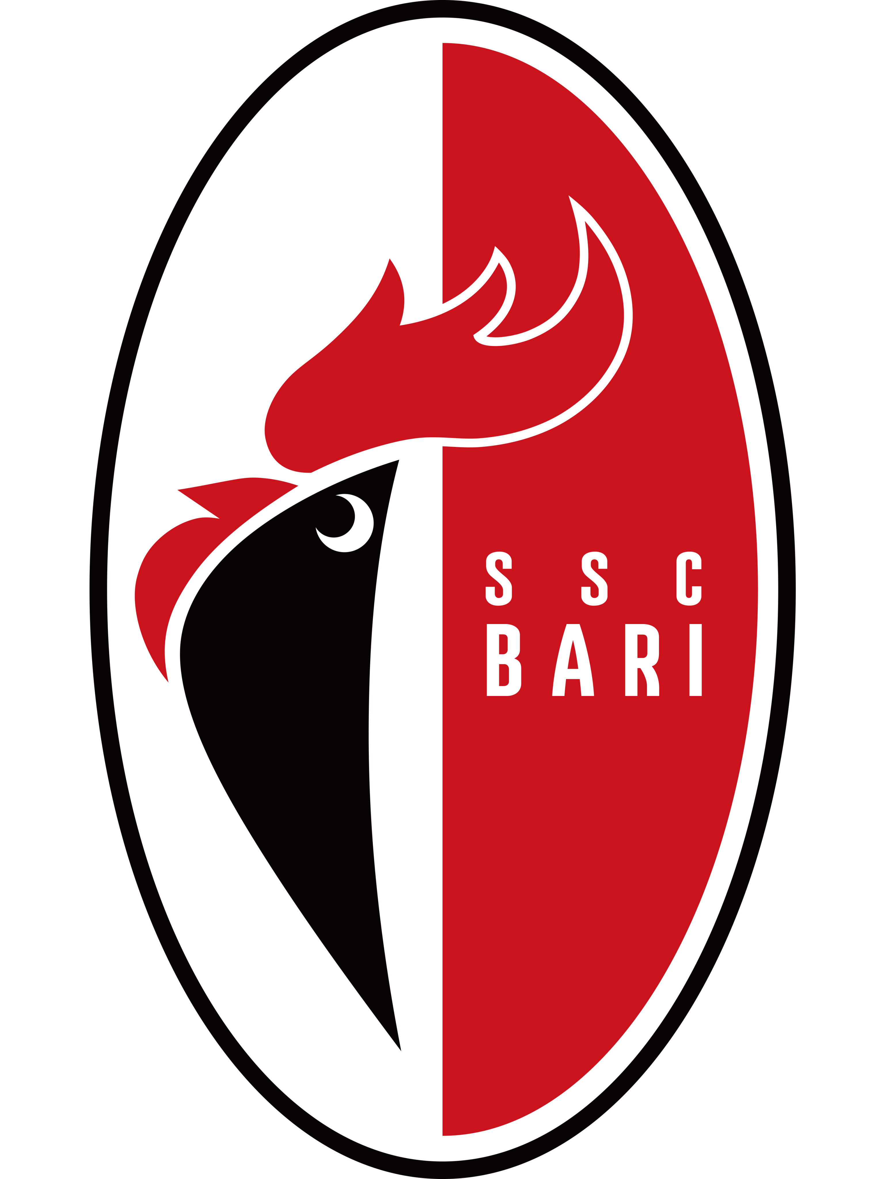  p data-id="gnbjo9n7d1">巴里足球俱乐部(società sportiva calcio