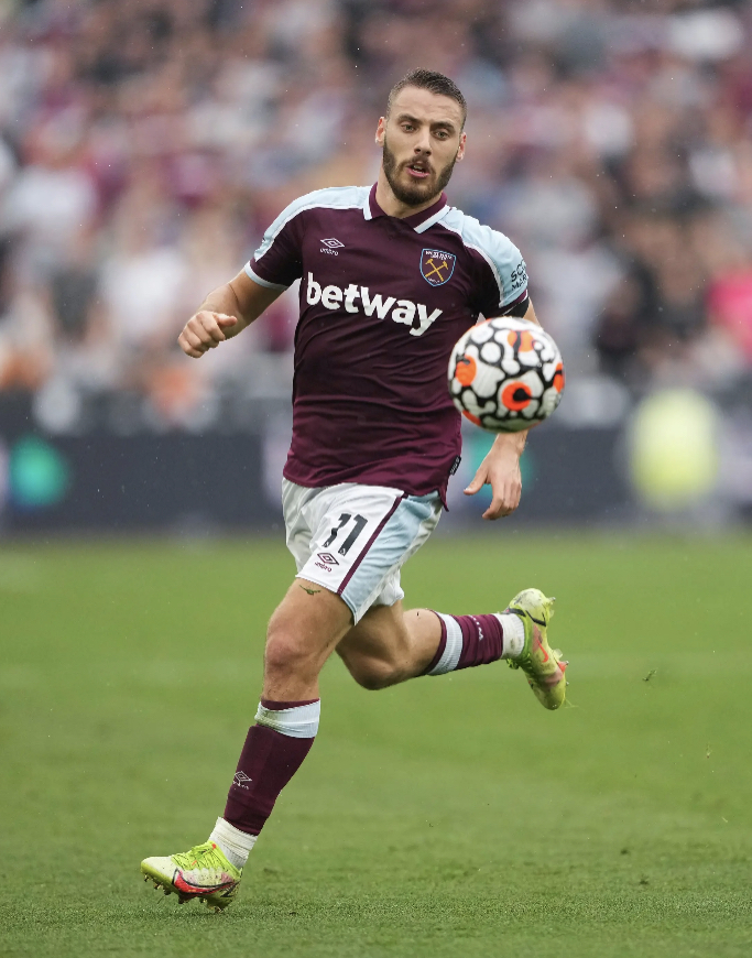 尼古拉·弗拉希奇