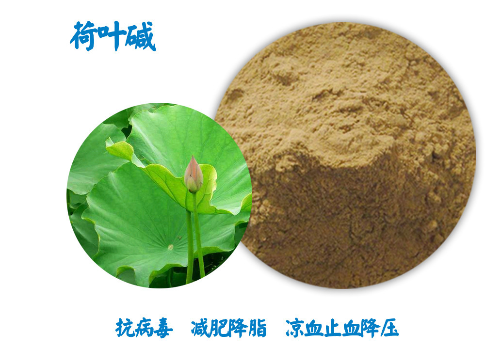  p data-id="gnwxxy4ybu">荷叶碱是 a target="_blank" href="/item