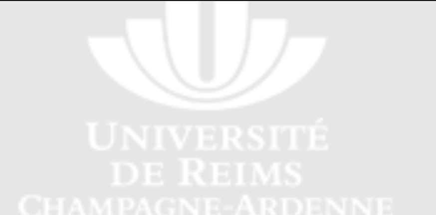 兰斯大学兰斯国立高等工程师学校是法国的