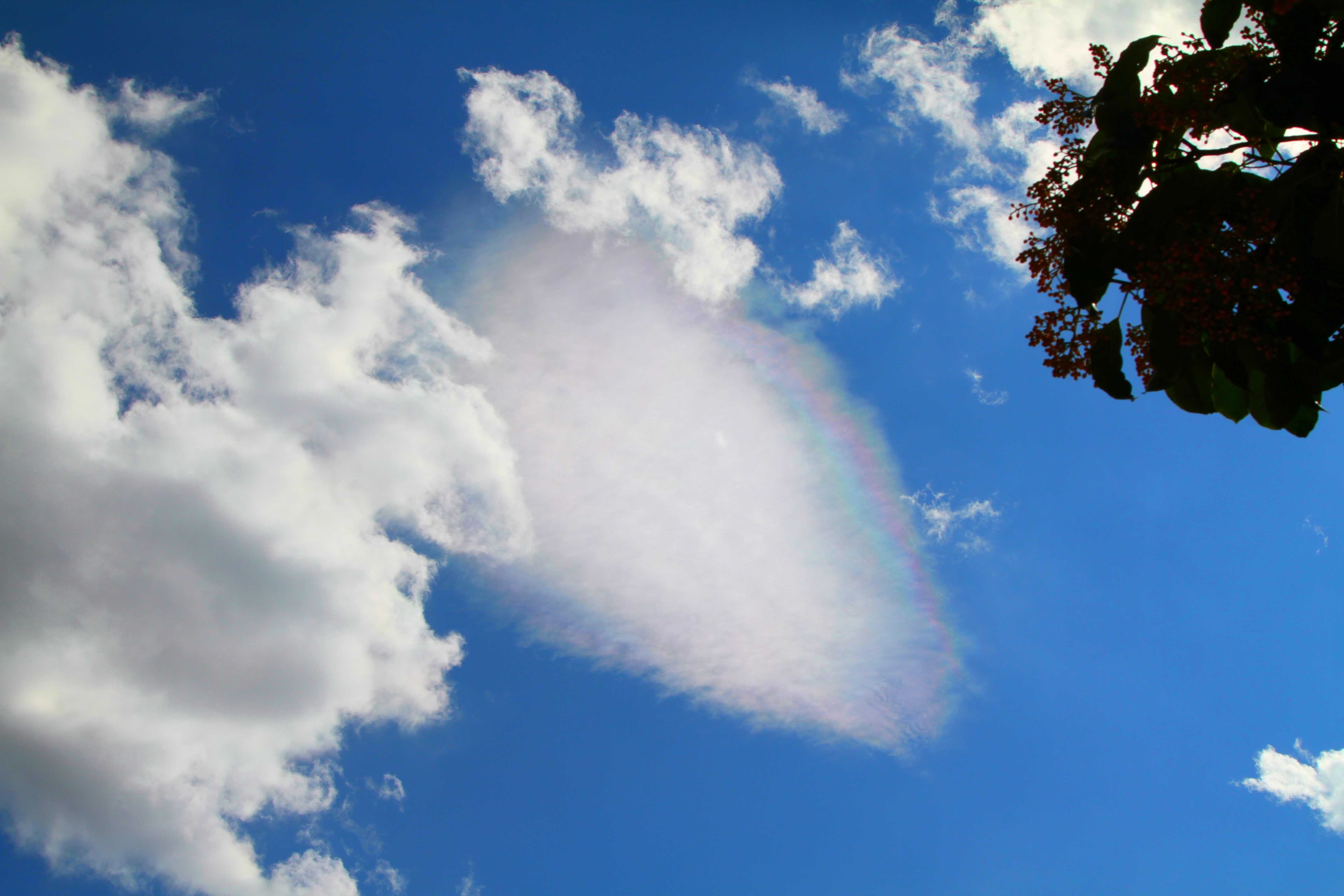  p> b>七彩云 /b>是指太阳光线与云彩中的冰晶
