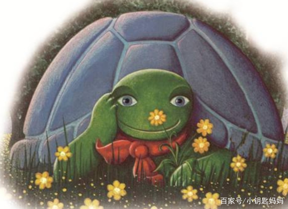 《犟龟》推荐稿_百科TA说