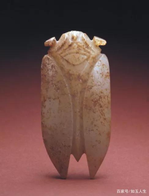 【 玉蝉瑪瑙根付 明～清朝期】　倣古葬玉　中華古玩 玉蝉瑪瑙根付 中華古玩 】 倣古葬玉 明～清朝期