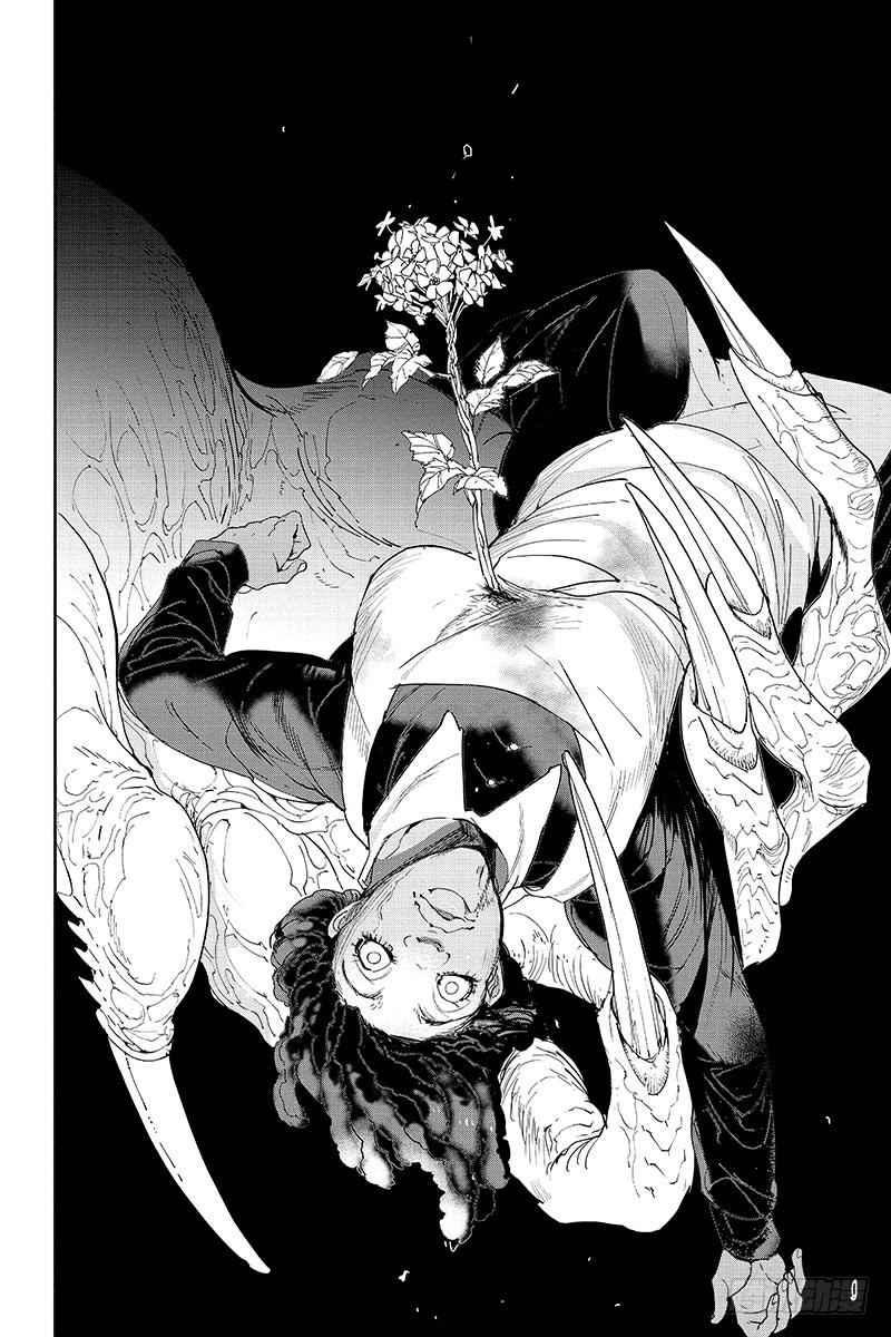  p>克洛涅,女,漫画《 a target="_blank" href="/item/约定的梦幻岛
