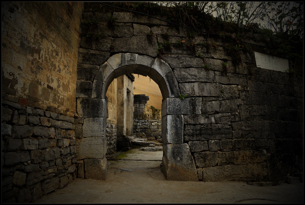 伊洛村位于大沙河(柏年河)北岸,206国道以东,北部与新安中学,罗谭居委