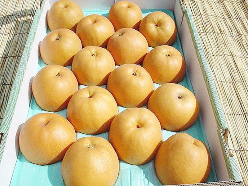 长十郎梨